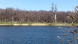 Пасхальное чудо;)))