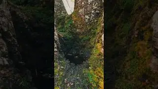 #natural #mexico #naturaleza #forest #atardecer #dji #senderismo #