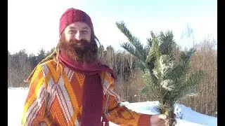 В бане у Хоббита