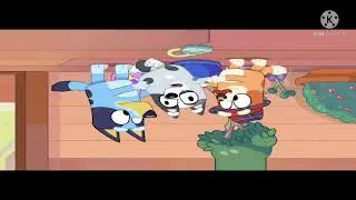 (SEIZURE WARNING) Bluey Picture comes crashing
