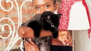 Why do feminists love cats?