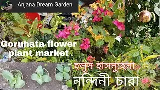 Goruhata flower plant market Uluberia / Uluberia market