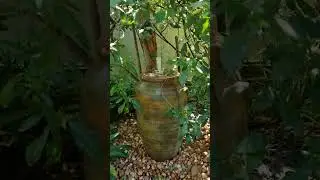 Kyalami Garden Johannesburg. Designed 2004 Clivias, Brunsfelsia, Water feature, pebbles