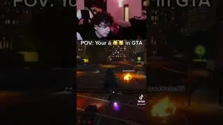 POV: Your a 🐱🐱 in GTA 