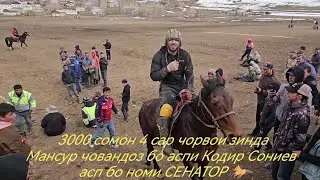 Сенатор