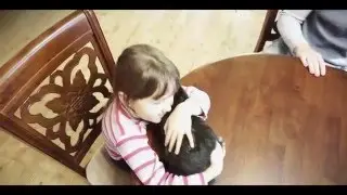 Кролик для дочки