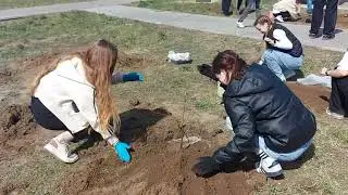 Аллея 11а 2024