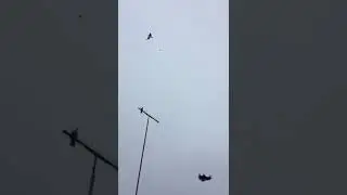 Балакший Григорий