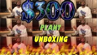 $300 DOLLAR PLANT UNBOXING !!!