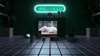 VT Cosmetics - The Power of CICA 