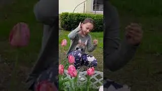 Всем привет!