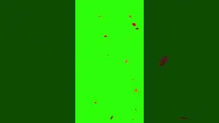 Rose Petals Falling Green Screen Video Effects 