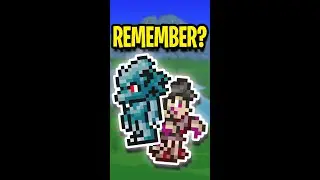 Do you Remember about these OP Terraria Pets?