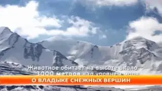 Презентация книги владыка снежных вершин Клуб Путешественников Gde.kg
