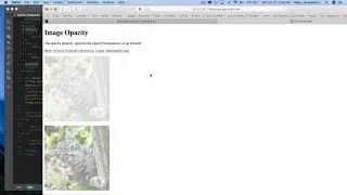 Dreamweaver CC 2020: Setting image opacity and hover set