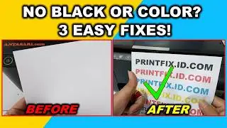 Epson Printer Not Printing Black Ink? 3 Easy Fixes That Work (Clogged Printhead)