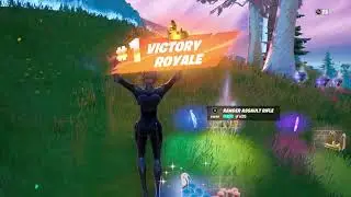 Fortnite Glitched Clip 14 Kills