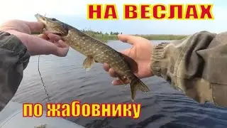 SHALLOW WATER FISHING. OPENED AFTER BAN 2021