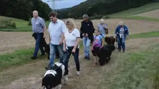 2. Neufundländerwanderung am Edersee