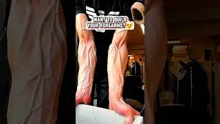 Want to Build your Forearms?😍 #forearms #forearmtraining #handexercise #usafitness