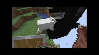 Ah yes, Epillepsheep!