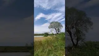 Там, где поёт душа... (Рязань, м. Солотча)