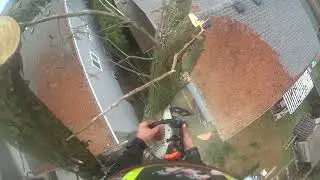 Rigging some Cypress branches over a roof 