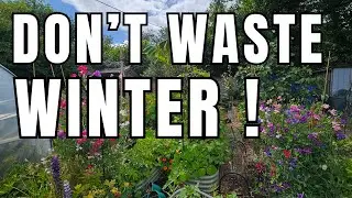 What to sow and grow in Autumn! Setbacks and Clearing