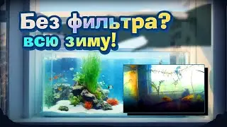АКВАРИУМ БЕЗ ФИЛЬТРА И СВЕТА