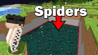 1,234 Poison Spiders vs Minecraft SMP