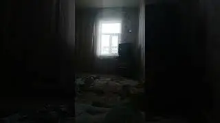 Василий    морозов