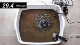 Detox, Detoxification, Foot Bath, SCAM