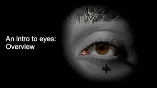 An intro to eyes in Maya: Overview