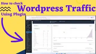 How to check traffic on wordpress | how to check wordpress website traffic |check traffic on website