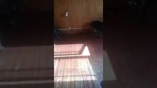 Шерра и Миша кушают