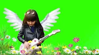 flower animation green screen background effect | green screen flowers and butterfly |copyright free