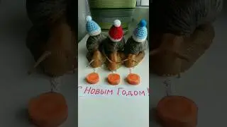 Всем Добра!💕🐌