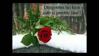ANNA DE LA BELIN 2016 ,,DAR EU NU TE LAS