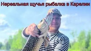 Нереальная щучья рыбалка / На водомёте по таёжным рекам Карелии / Куганаволок / Водлозеро YAMAHA115