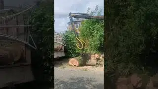 ABSOLUTE BEAST 💪🏻 Unimog for Tree work