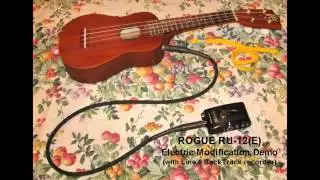 Rogue Ukulele RU12 (E) Modification and Line 6 BackTrack Demonstration