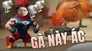 TƯỞNG FARM GÀ AI NGỜ CỚM