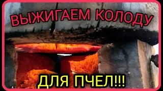 Колода для пчел/ВЫЖИГАЕМ КОЛОДУ/пчеловодство без затрат/эксперименты с колодой