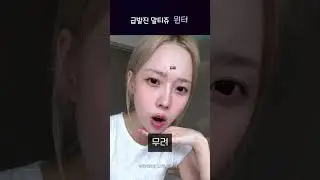 급발진 말티쥬 윈터