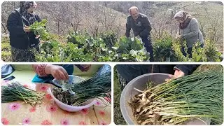 Yabani Otlar -Zuzubak Otu - Karalahana Bahçesi - Ot Ve Lahana Topluyoruz