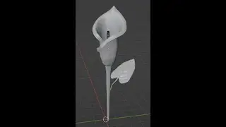 Modeling Calla Lily in Blender 3D. How to use decimate modifier for leaf modeling.