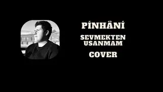 Pinhâni - Sevmekten Usanmam | COVER