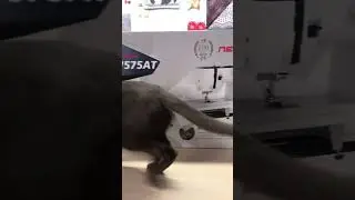 ❤️👍СУПЕР!!!👍❤️