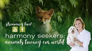 Harmony seekers; Animals Tuning Our World