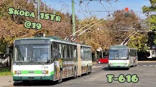 Utazás a T-616-os pályaszámú Skoda 15Tr-el a 19-es vonalon
